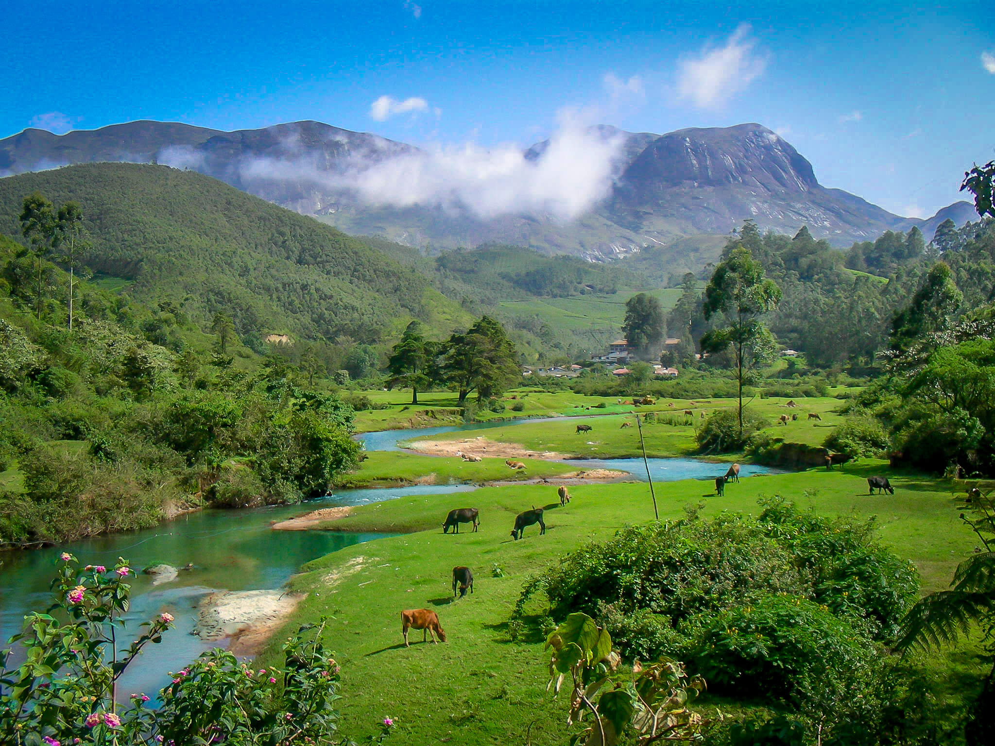 Photography Location Munnar
