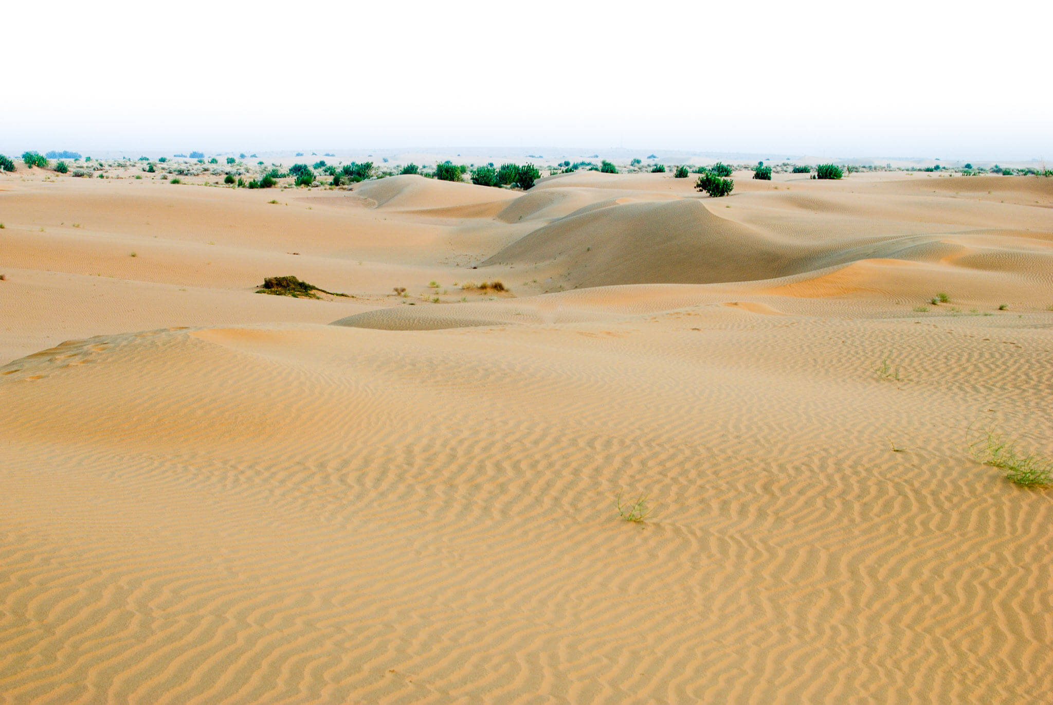 Photography Location Rajasthan