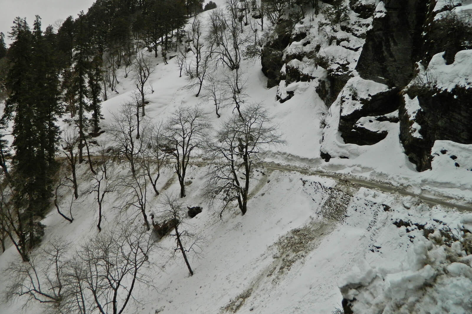 Jalori Pass Kullu, Himachal Pradesh