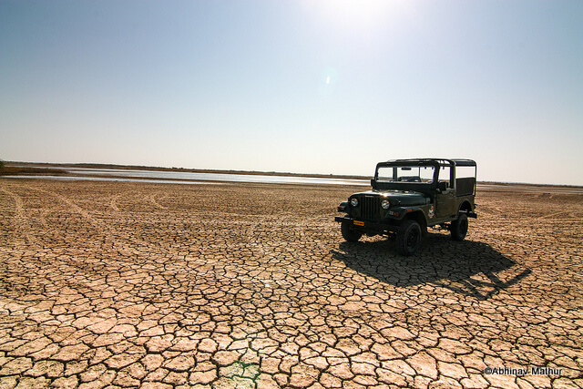 Kutch Jeep Safari