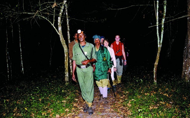 night-petrolling-thekkady