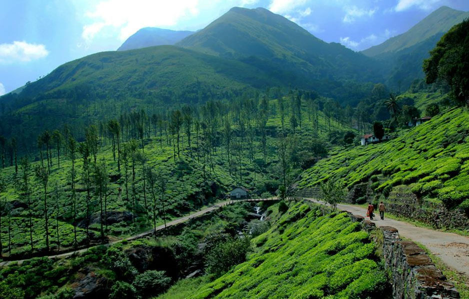 Wayanad hill station