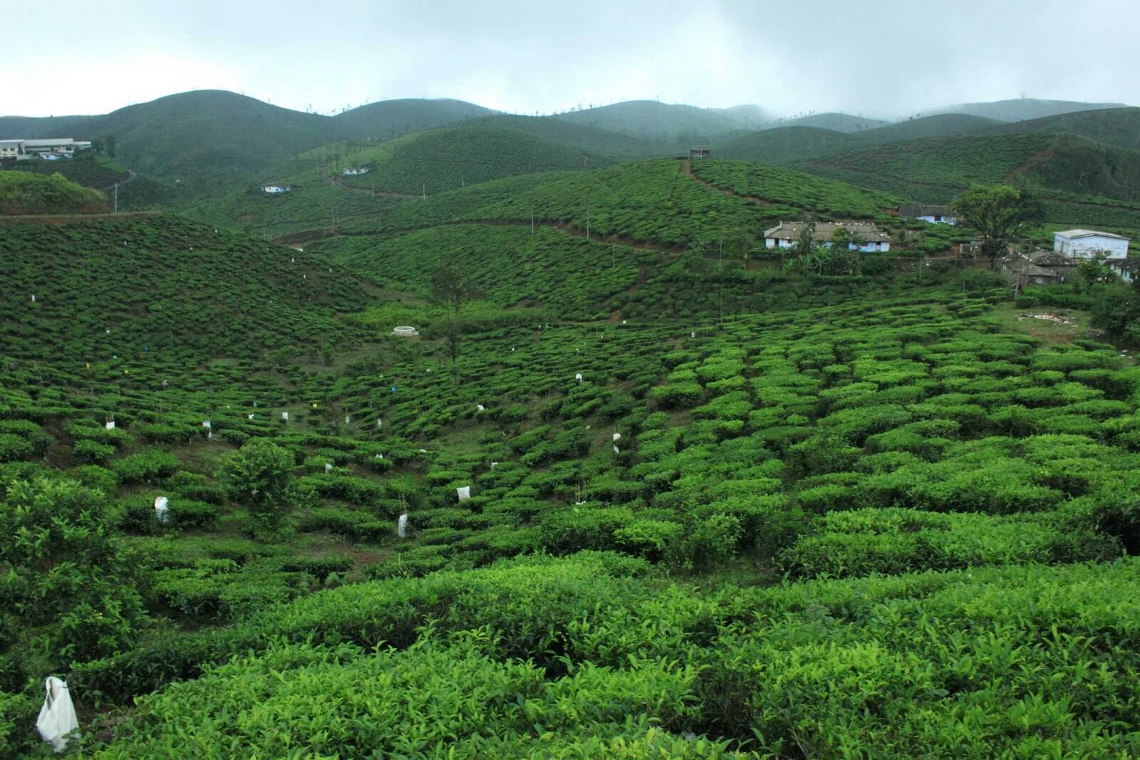 idukki-hill-stations
