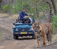 21 - 25 Days India Tour