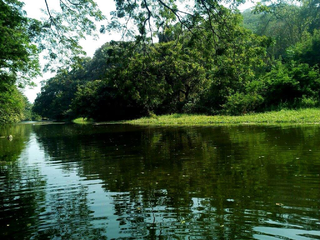 Sanjay Gandhi National Park, Mumbai