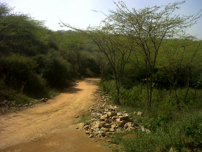 Sanjay Van, Delhi