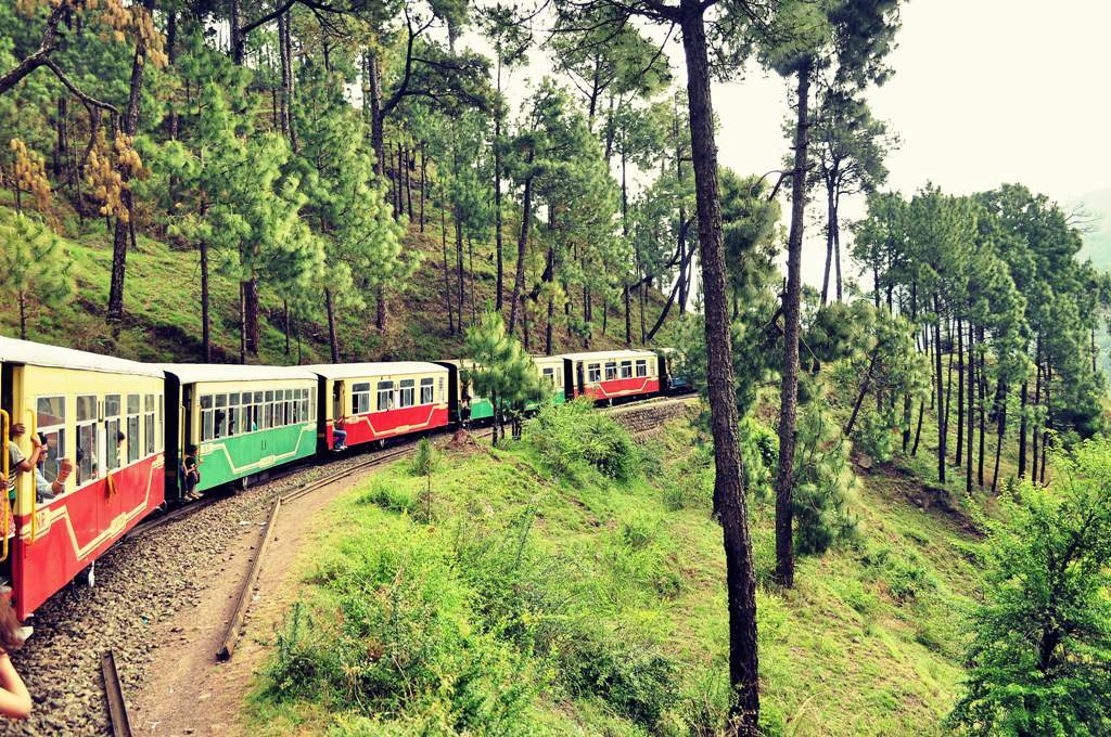 toy train ride family trip india