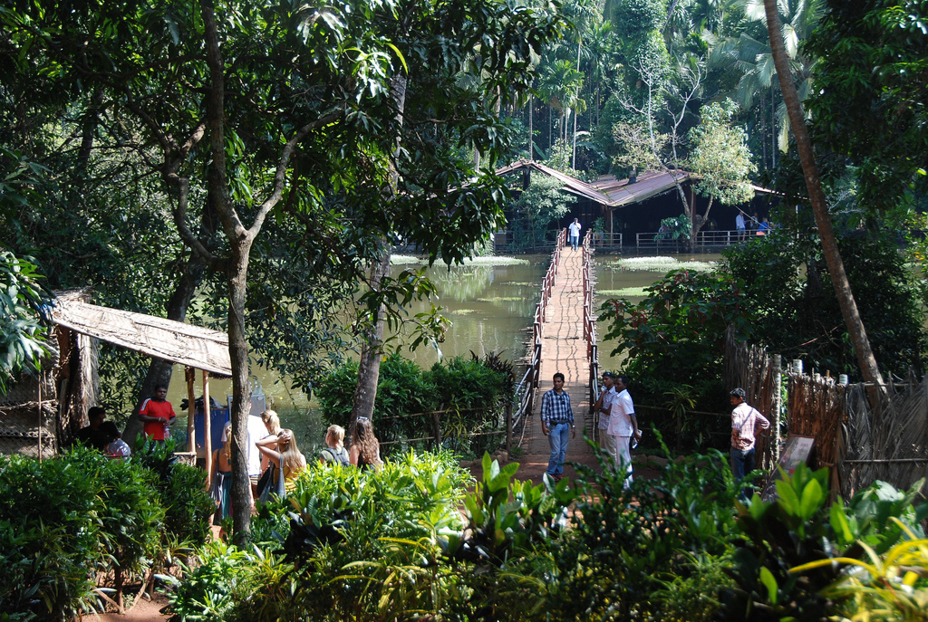 spice plantation in Goa