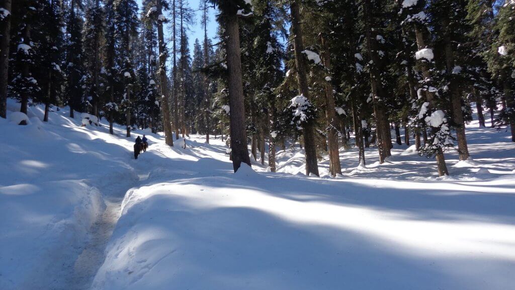Horse Riding at Pahalgam