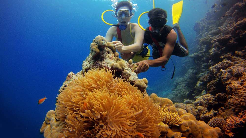 Lakshadweep Scuba Diving