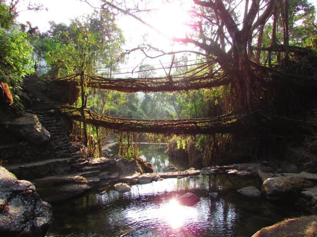 Living Root Bridge of Nongriat Village