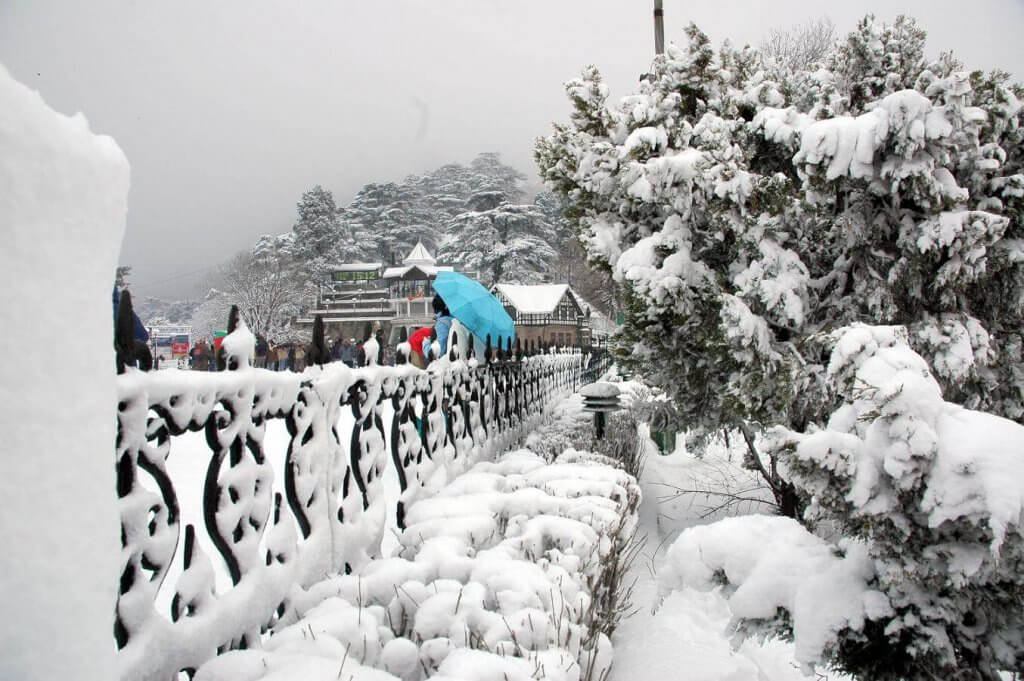 Shimla Honeymoon