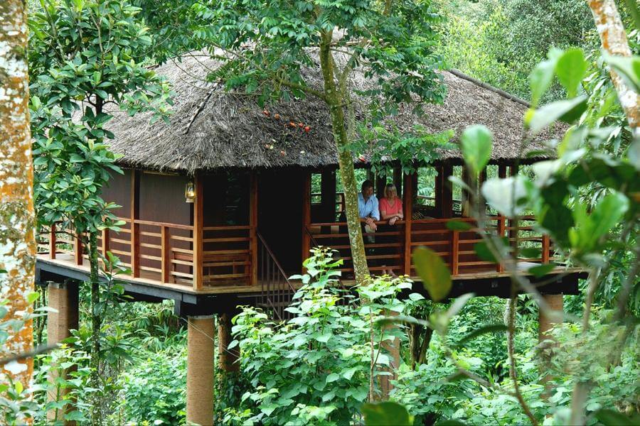 Carmelia Haven, Thekkady