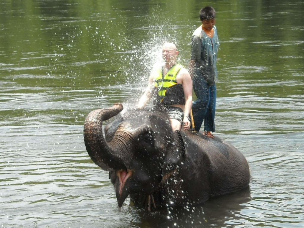 Elephant Bathing Goa