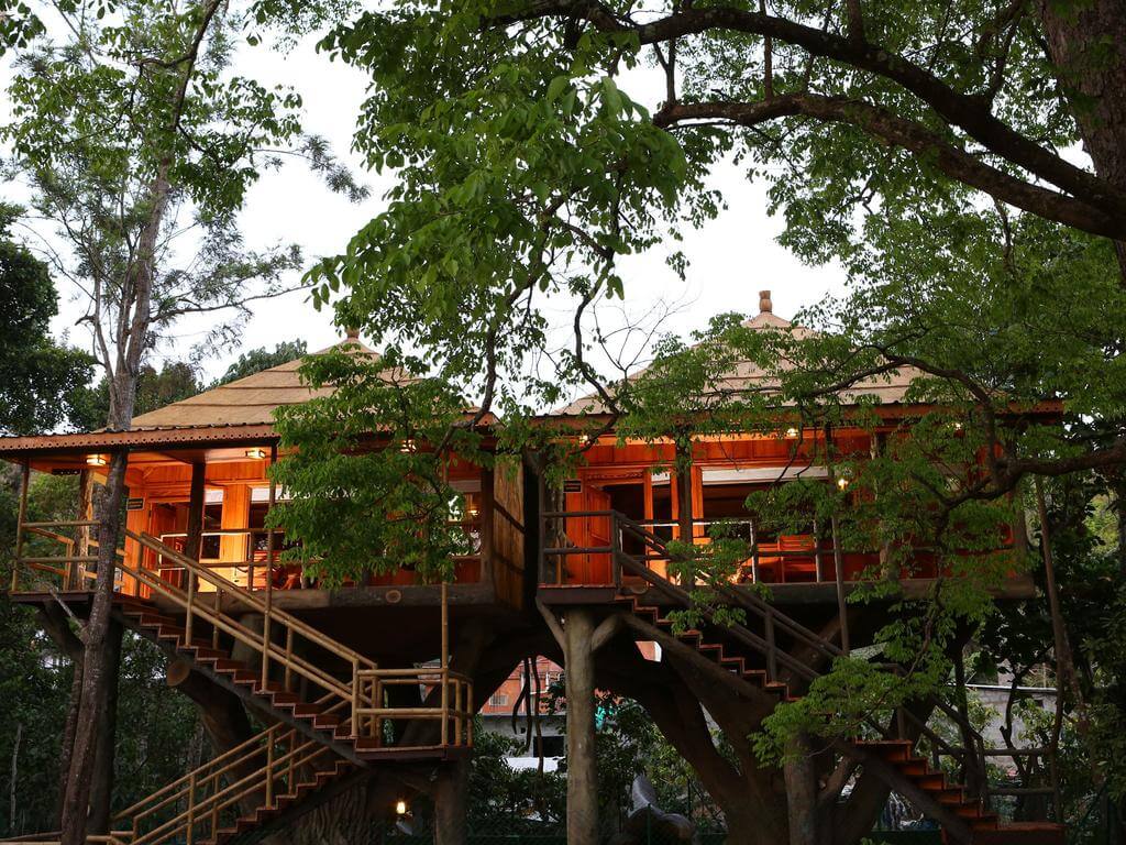 Machan Treehouse, Maharashtra