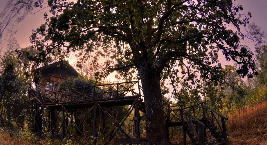 Tree house Hideaway, Madhya Pradesh