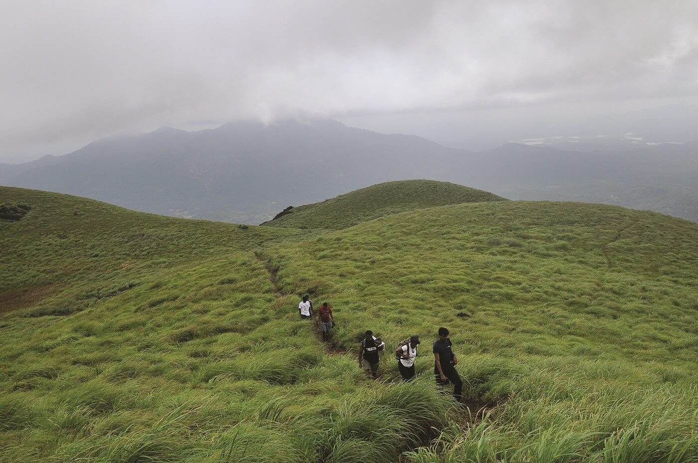 Chembra Peak Wayanad Trekking in Monsoon