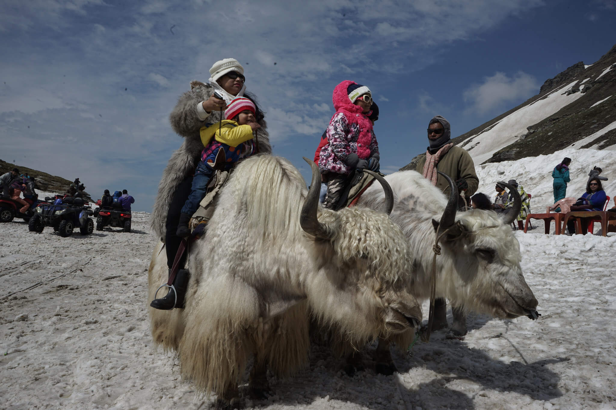Yak Rides Manali