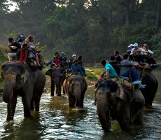 16 Days - India and Nepal Wildlife Safari 16 Days - India and Nepal Wildlife Safari