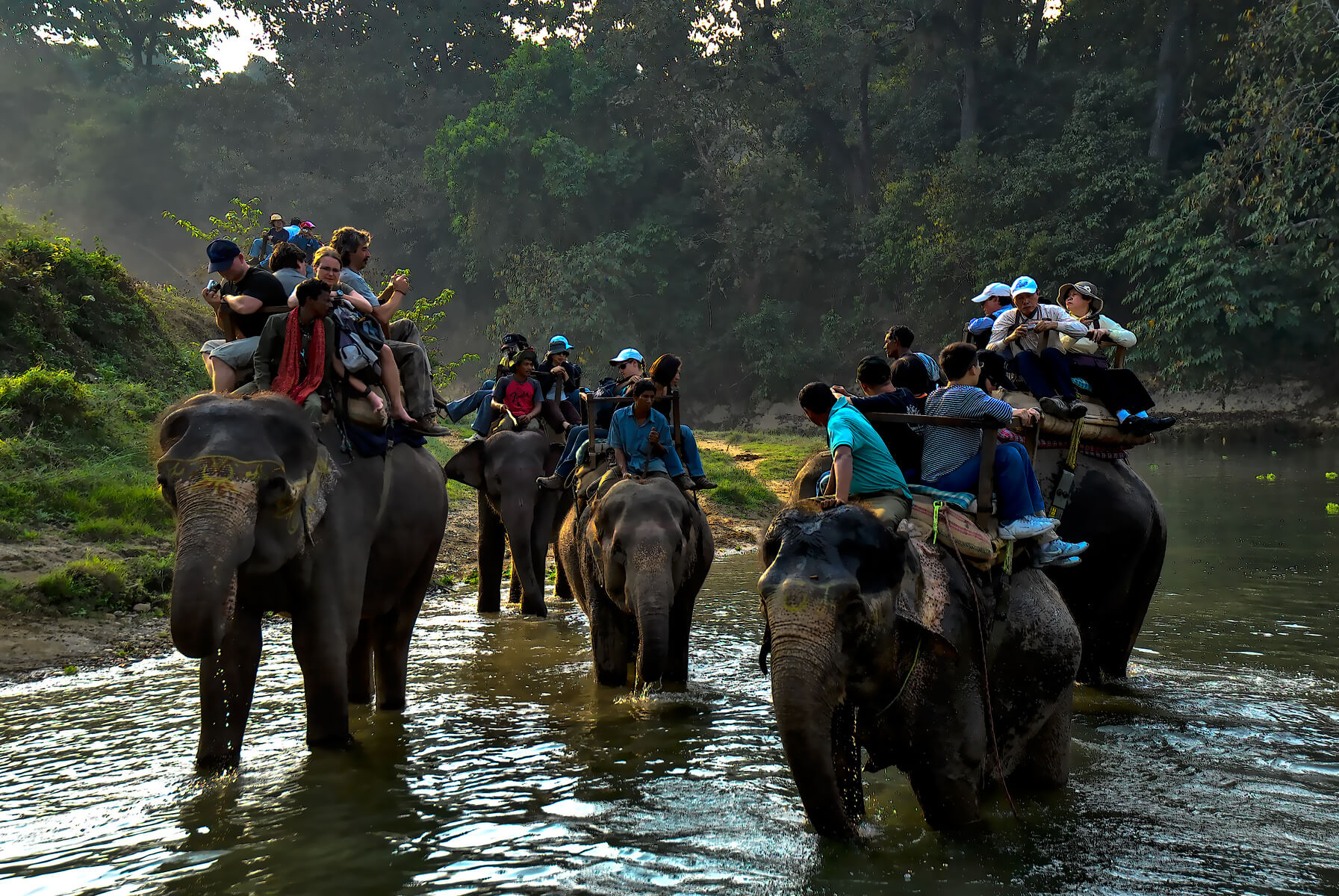 Chitwan National Park Elephant Safari