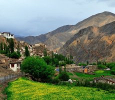 10 Days - Best of Ladakh Tour