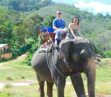 Elephant Safari at Jim Corbett