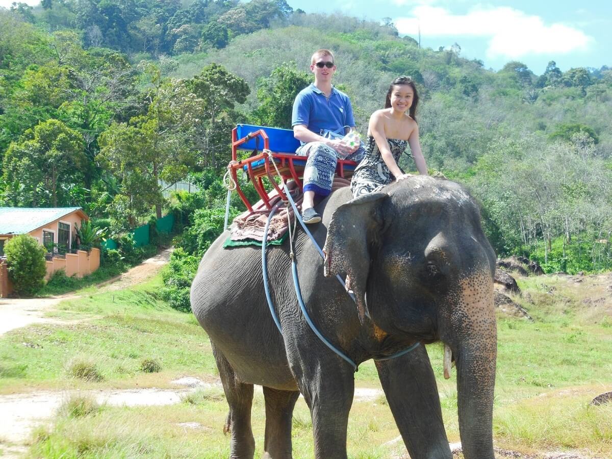 Elephant Safari at Jim Corbett