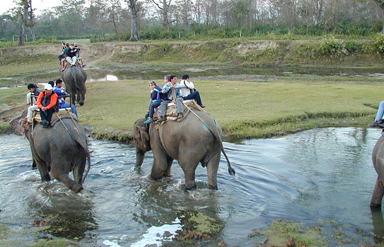 Elephant Safari Bandipur National Park