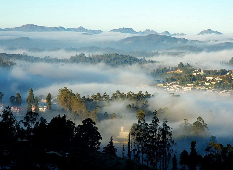 Coonoor Hill View