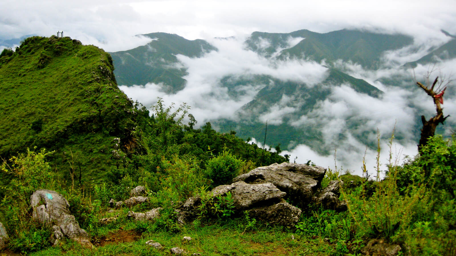 Happy Valley Mussoorie Uttarakhand