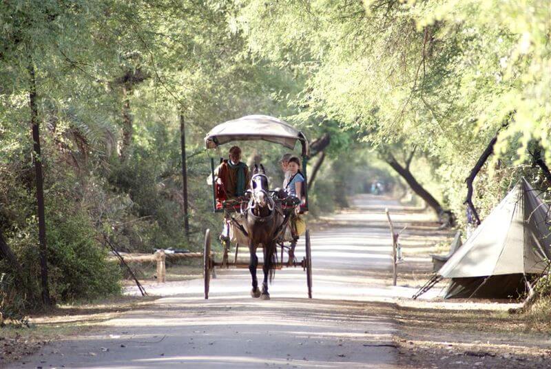 Tonga in Bharatpur National Park