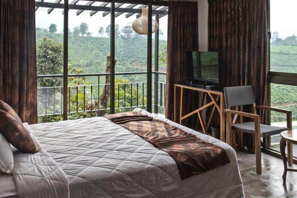 Chateau Woods Wayanad