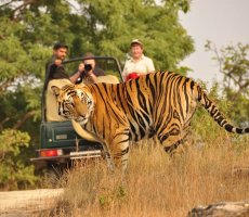 15 Days - North India Wildlife & Cultural  Tour