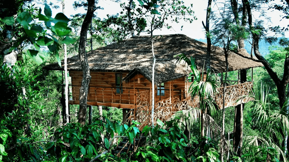 Tranquil Resorts, Wayanad