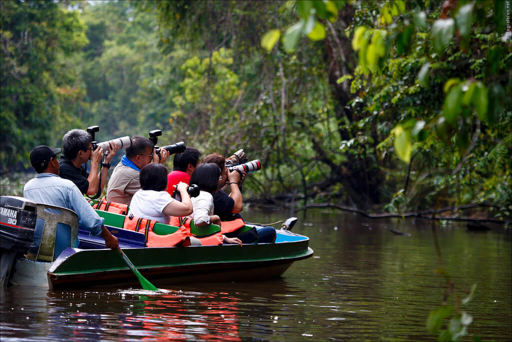 Borneo River Tour Boat