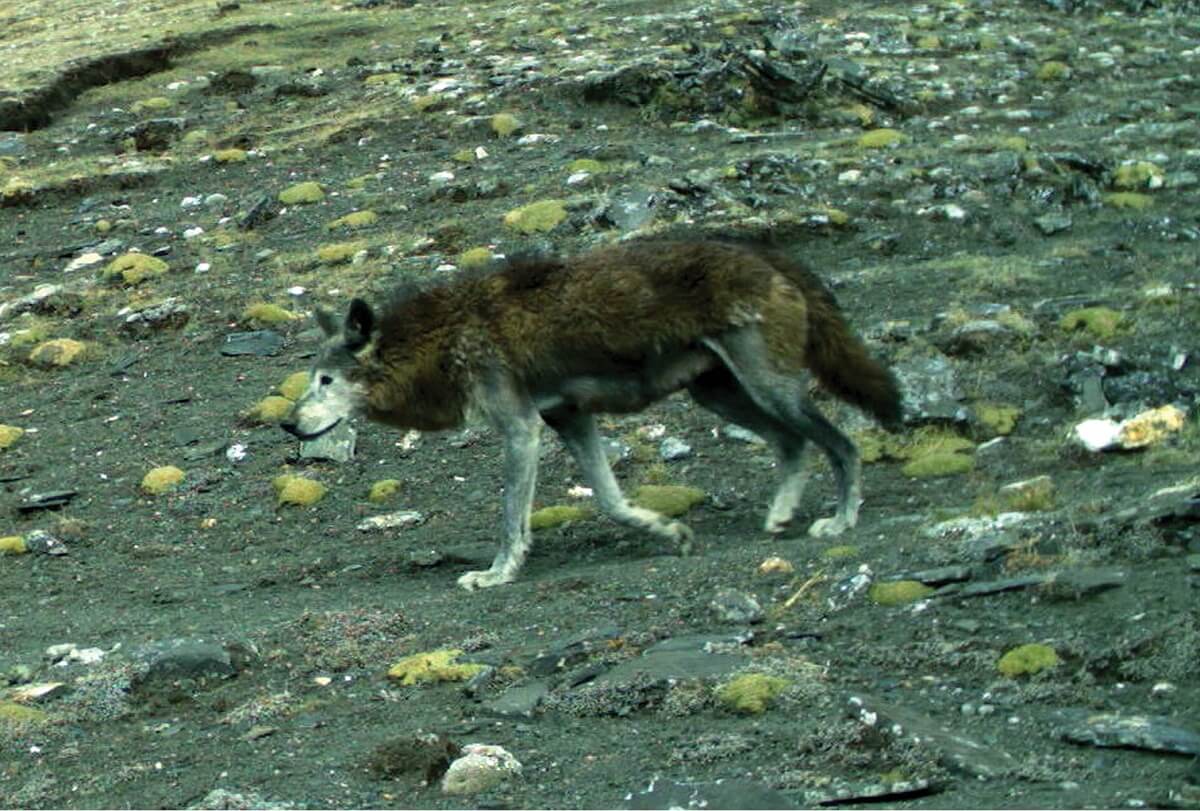 Annapurna Conservation Area, Nepal