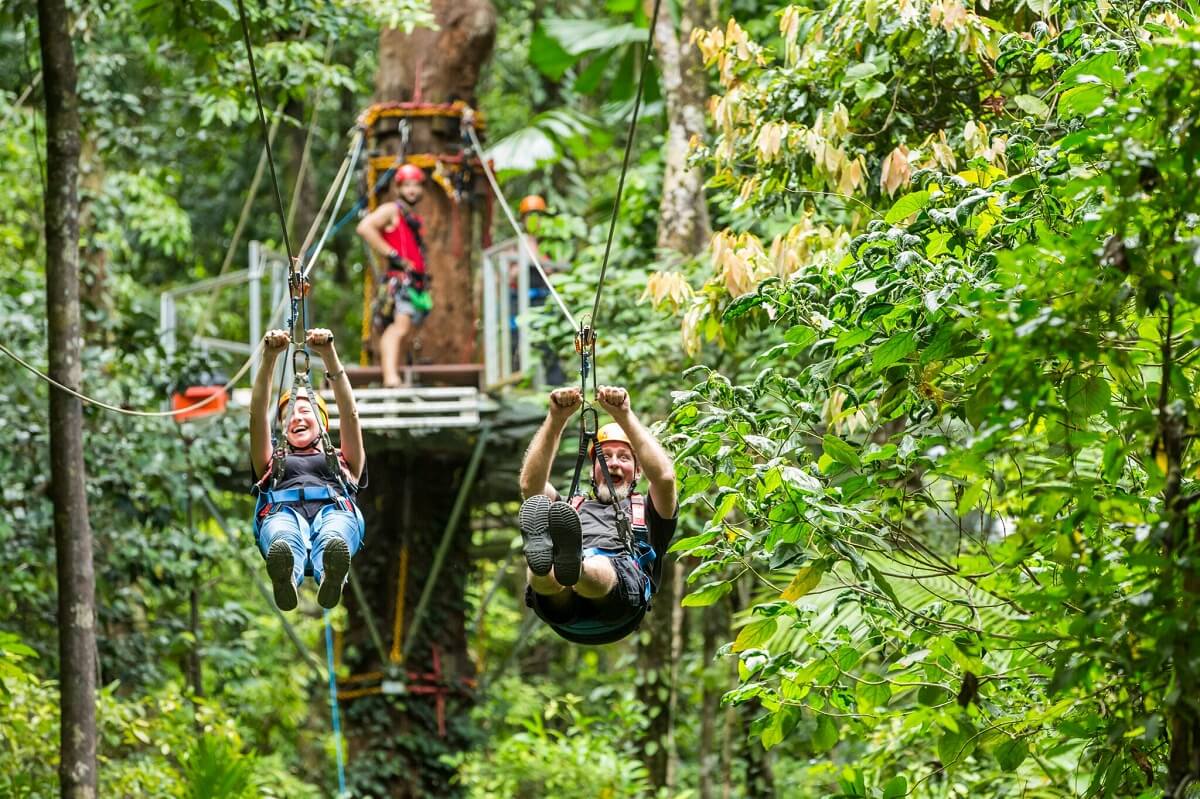 Daintree Forest
