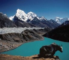 10 Days - Nepal Tour  10 Days - Nepal Tour