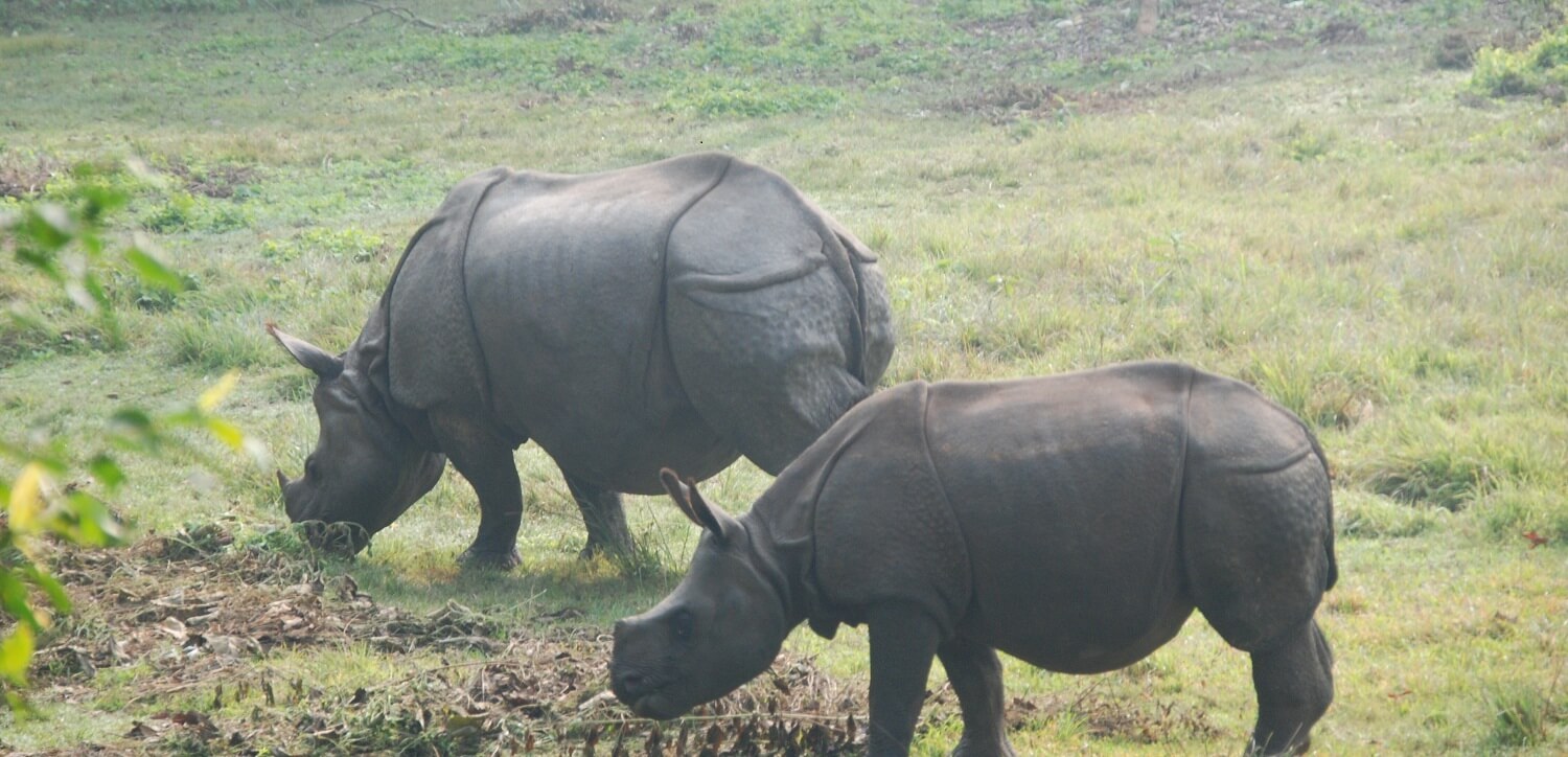Parsa Wildlife Reserve