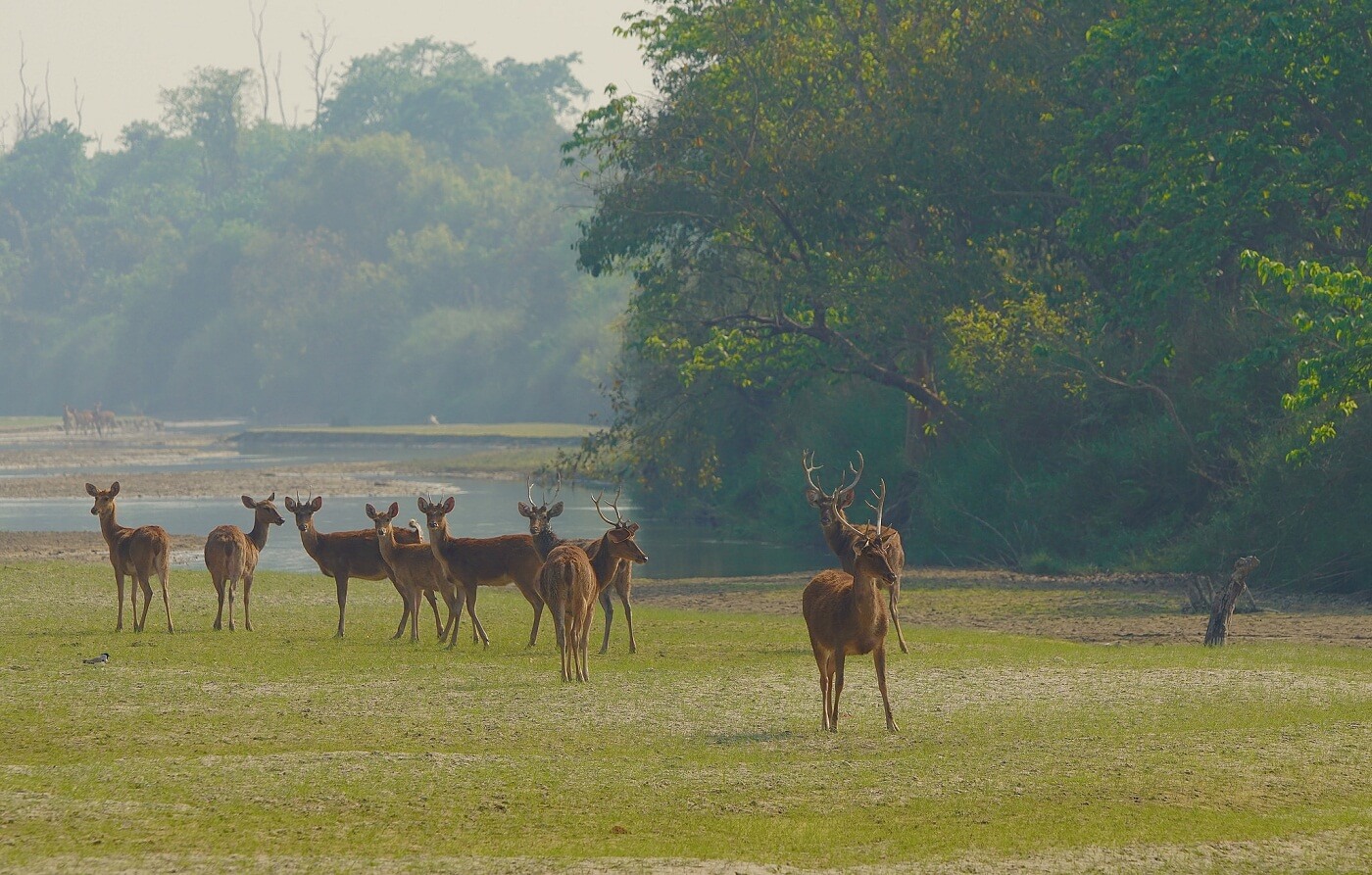 Dudhwa National Park