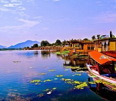 16 - 20 Days India Tour