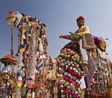 Pushkar Camel Fair, Rajasthan