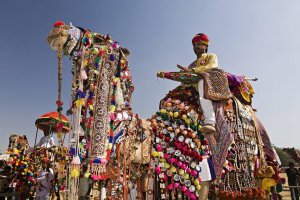 Pushkar Camel Fair – World’s Largest Fair