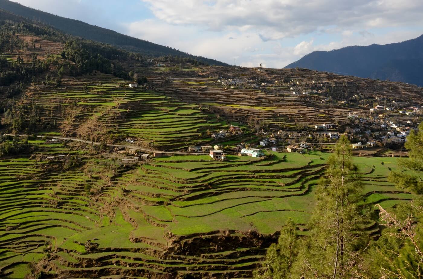 Ranikhet, Uttarakhand North India