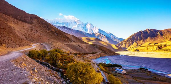 Mustang-in-nepal