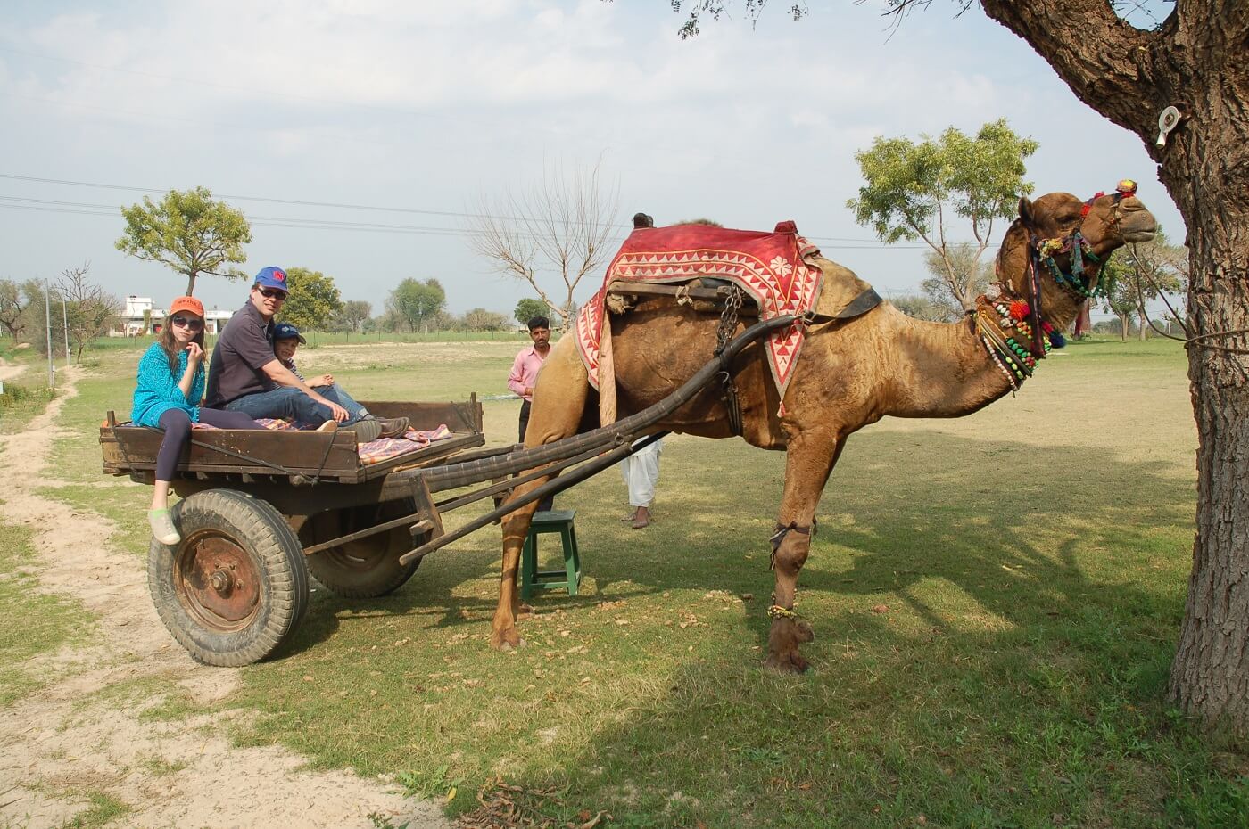 Camel Cart Rides, Abhaneri Festival Rajasthan