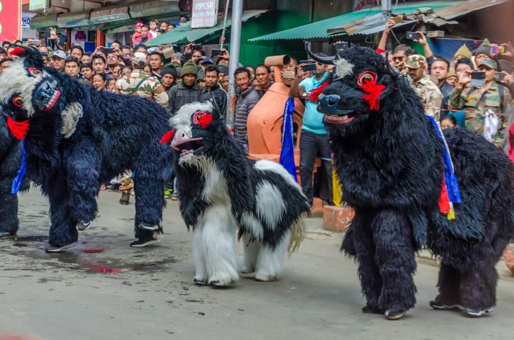 Yak Dance, Tawang Festival