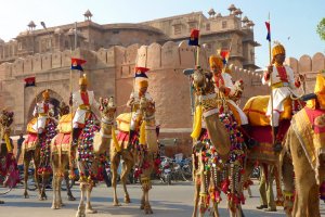 Camel Festival Bikaner Rajasthan