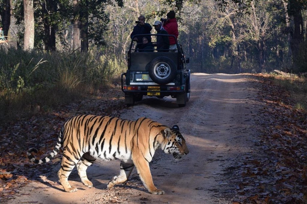 Ranthambore National Park 
