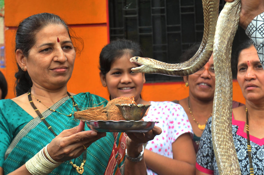 Naag Panchami Festivals
